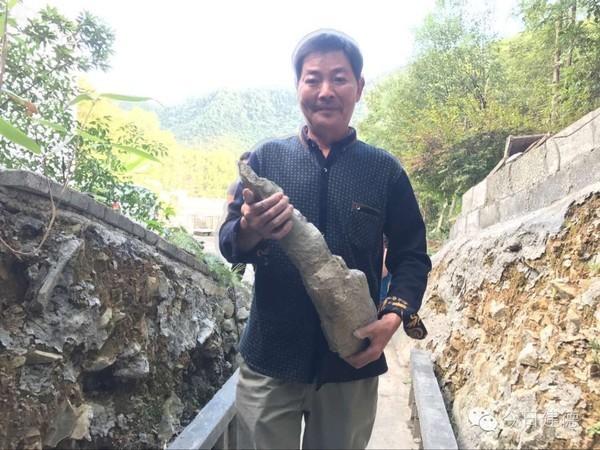 壽昌鎮(zhèn)周村敖樹林，巧手打造迷人庭院