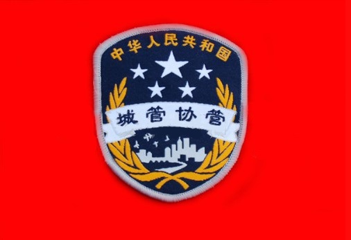 建德市城市管理局大同中隊(duì)城管協(xié)管員招聘公告