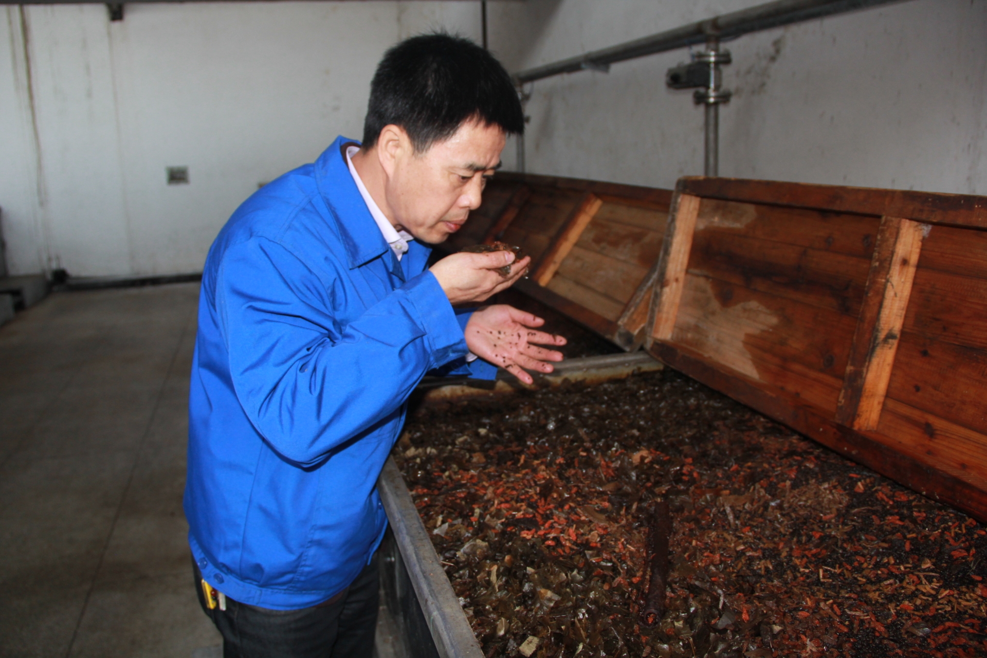 五加皮釀酒技藝傳承人錢建華獲獎(jiǎng)